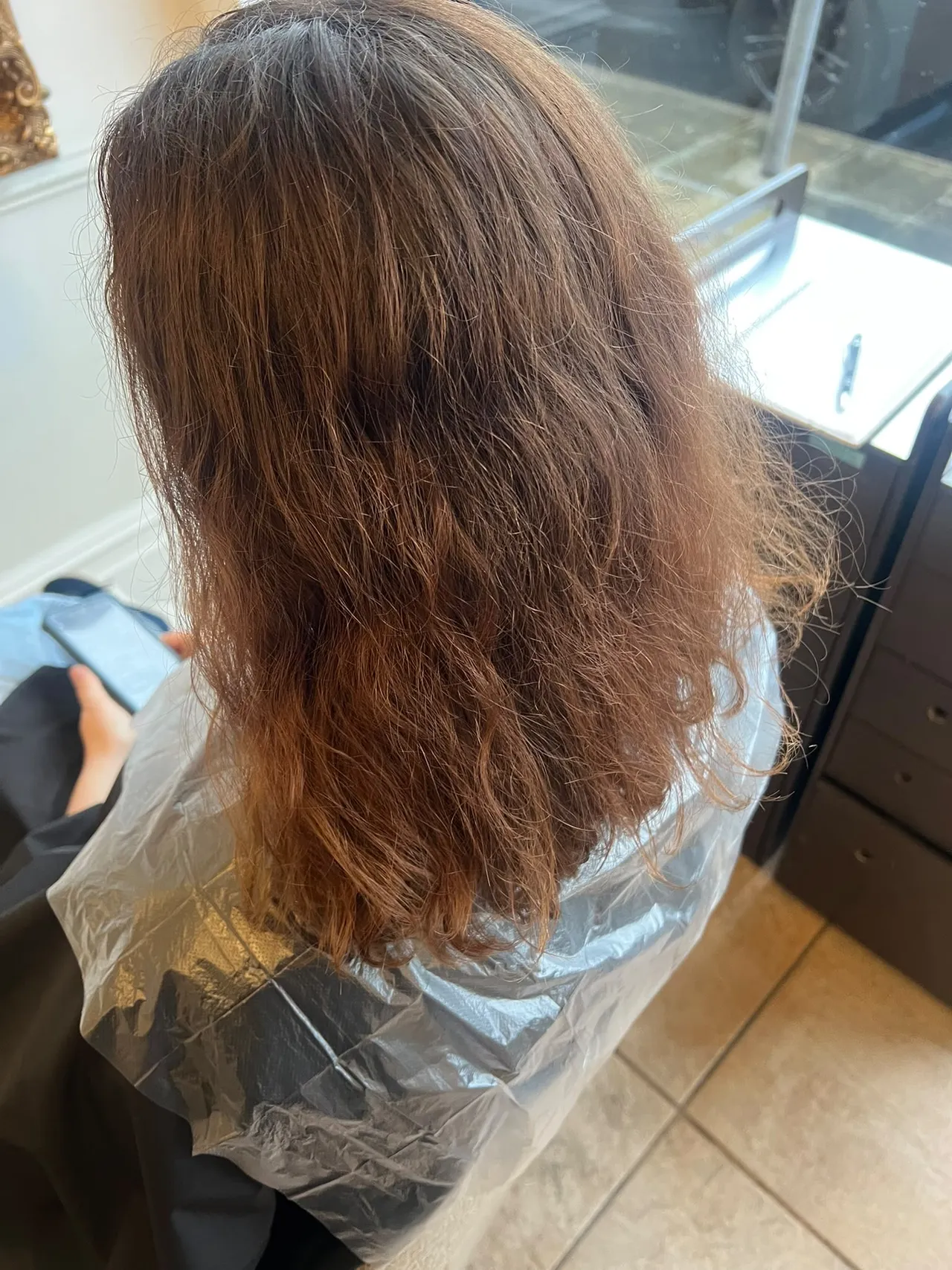 Hair before a full-length tint and cut & blow-dry
