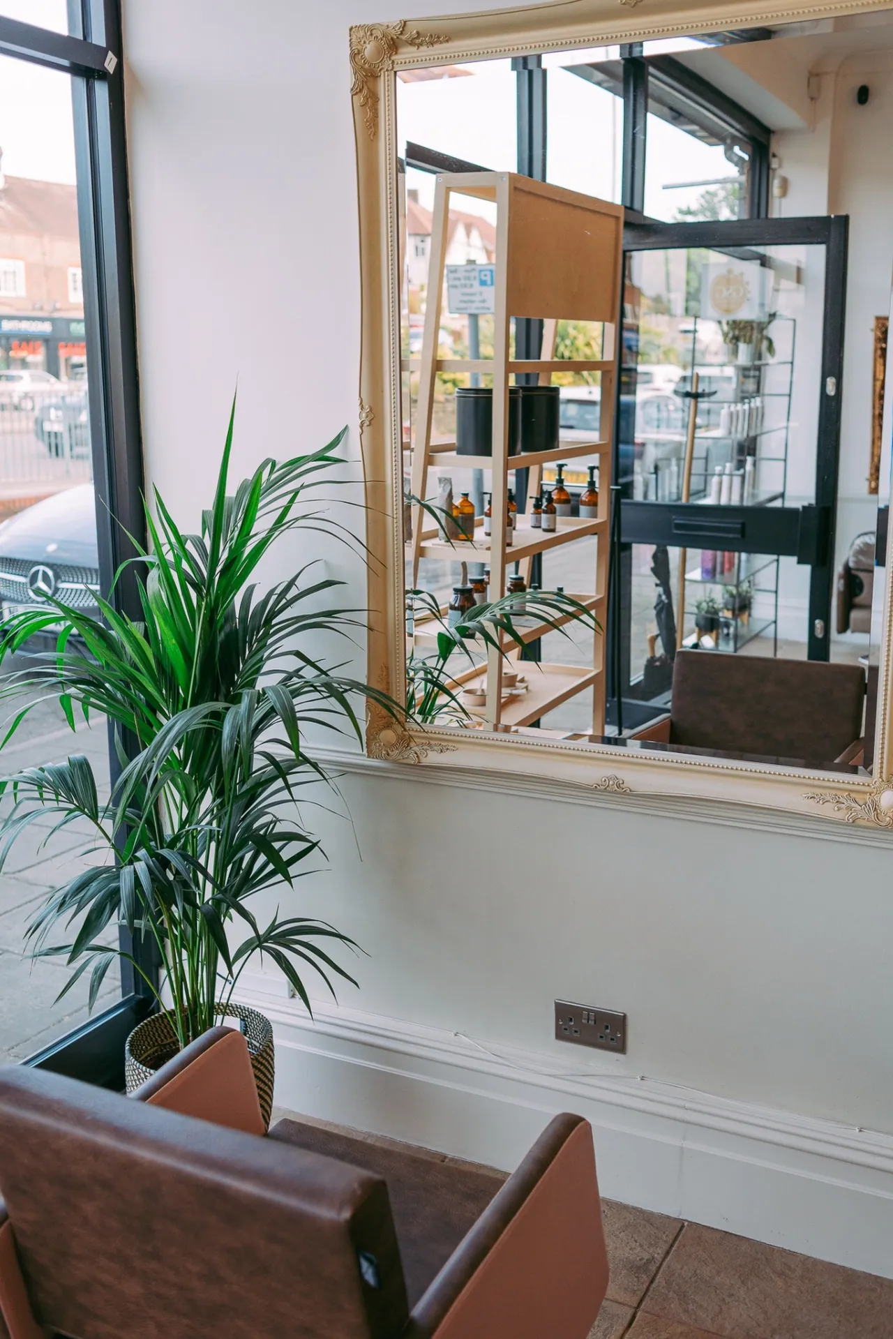 Reception view with palm and gilded mirror