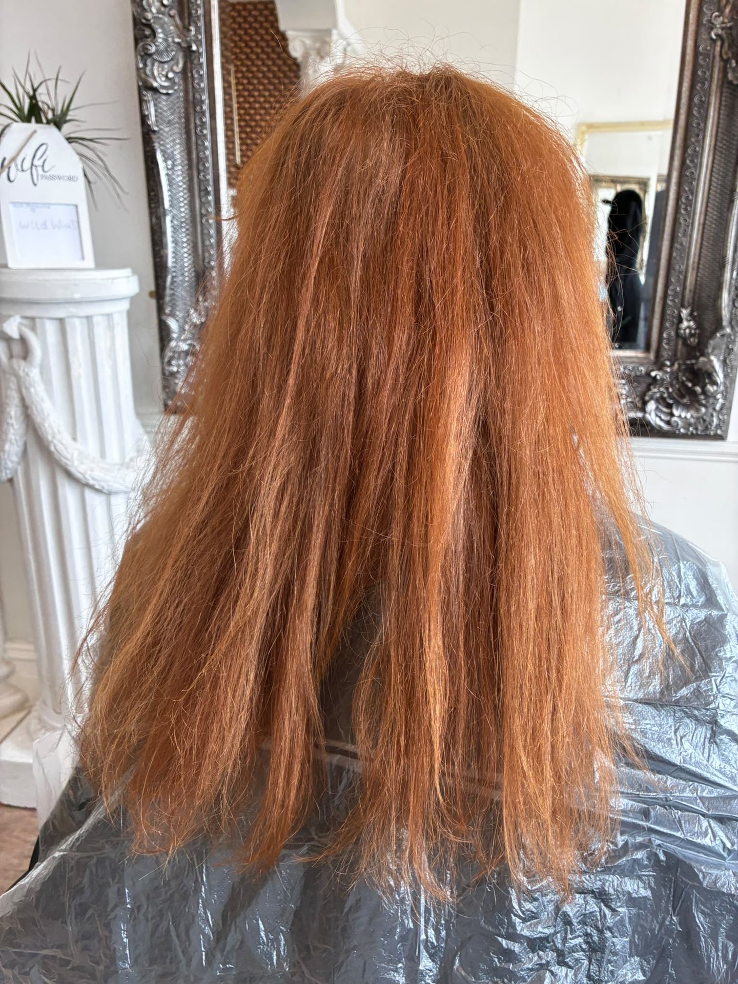 Hair before a glossing appointment