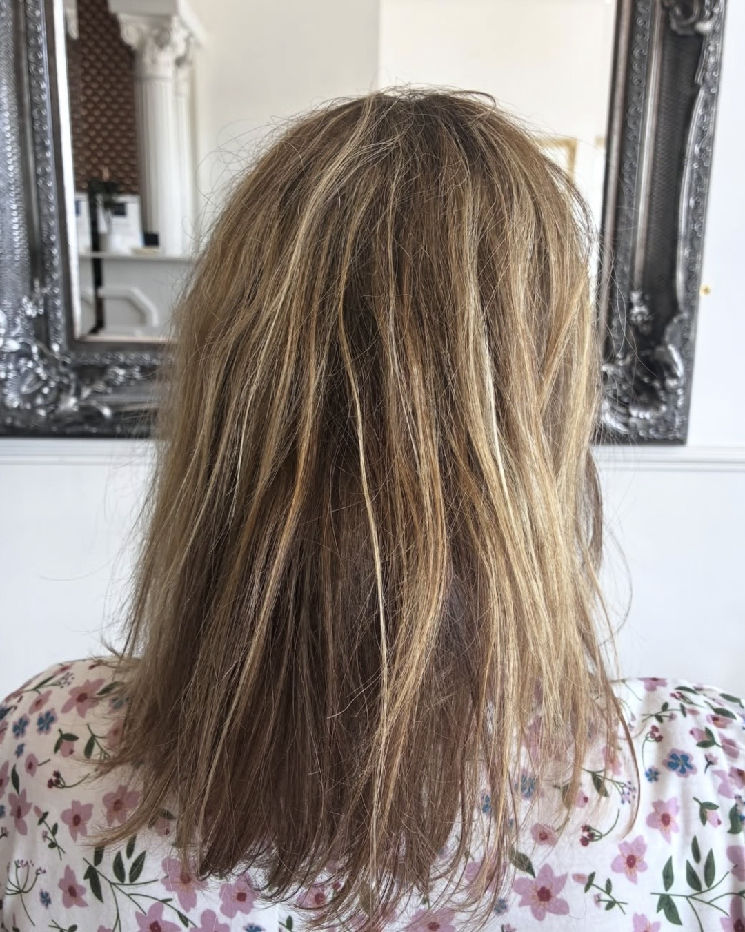 Frizzy highlighted hair before a smoothing treatment at Esther Alexander in Ewell